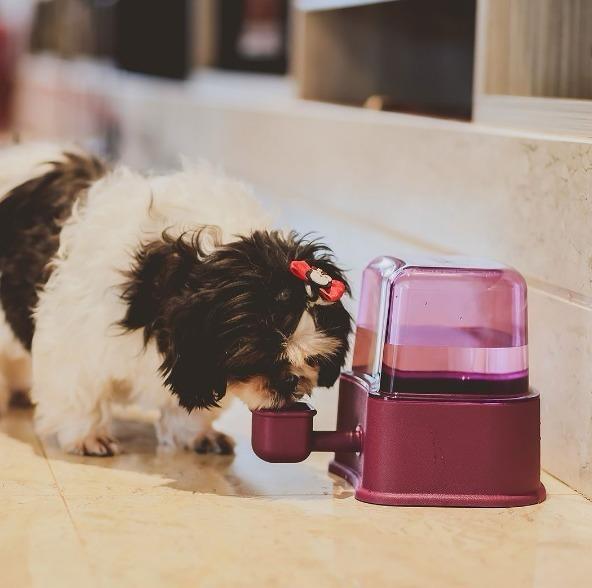 BEBEDOURO AUTOMÁTICO PETLON PARA CÃES PELOS LONGOS COR VINHO 2,3 LITROS