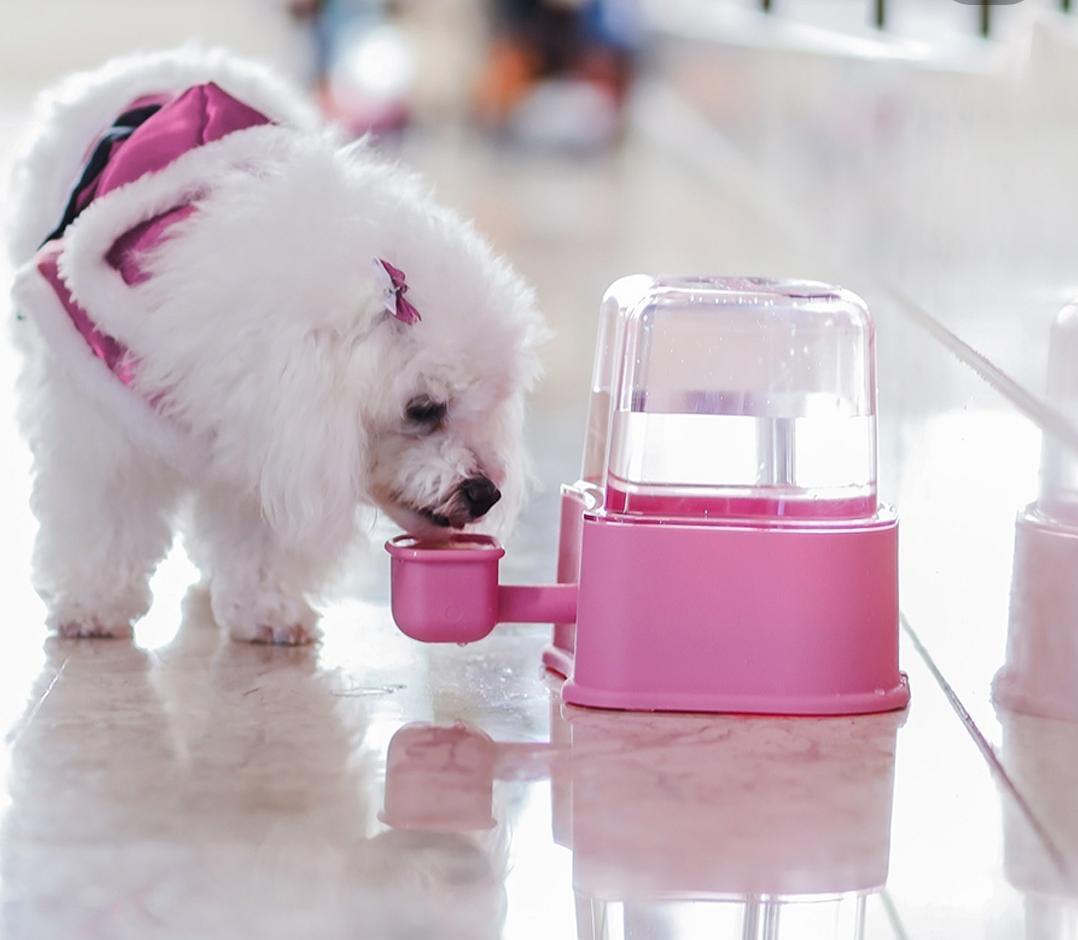 BEBEDOURO AUTOMÁTICO PETLON PARA CÃES PELOS LONGOS COR ROSA 2,3 LITROS