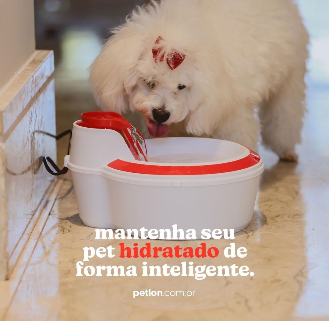 BEBEDOURO FONTE VERMELHO CÃES E GATOS COM FILTRO 2 LITROS PETLON