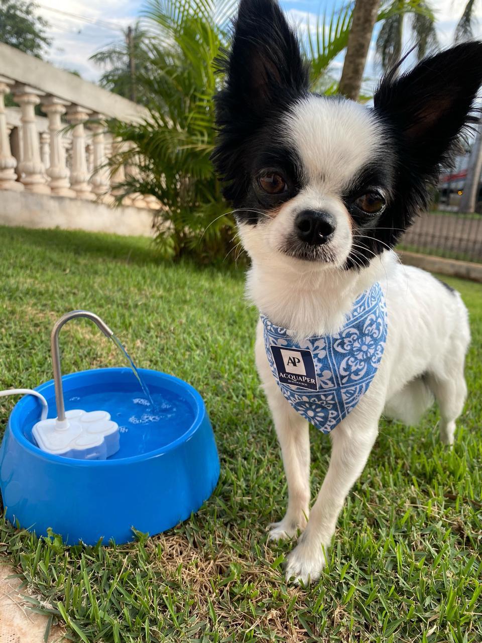 FONTE BABY + BEBEDOURO PARA CÃES E GATOS AZUL 110/127V~